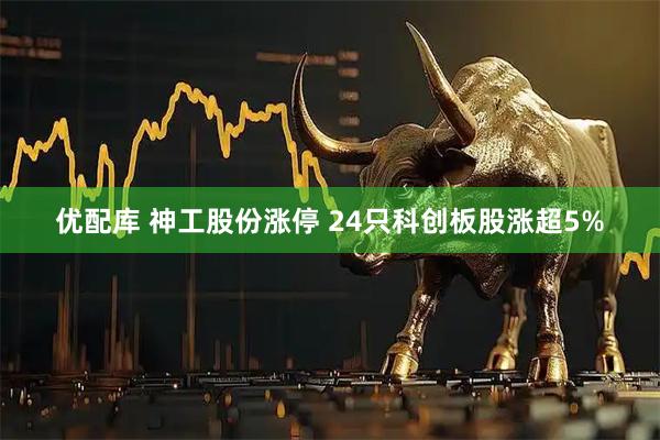 优配库 神工股份涨停 24只科创板股涨超5%