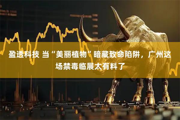 盈透科技 当“美丽植物”暗藏致命陷阱，广州这场禁毒临展太有料了